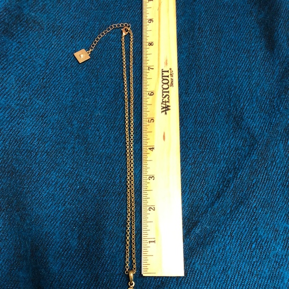 Alice in Wonderland Inspired Magnifying Necklace - Picture 4 of 4